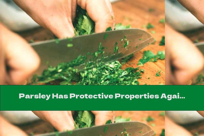 Parsley Has Protective Properties Against Cancer And Diabetes