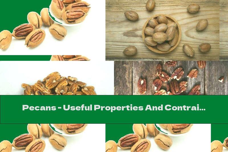 Pecans - Useful Properties And Contraindications