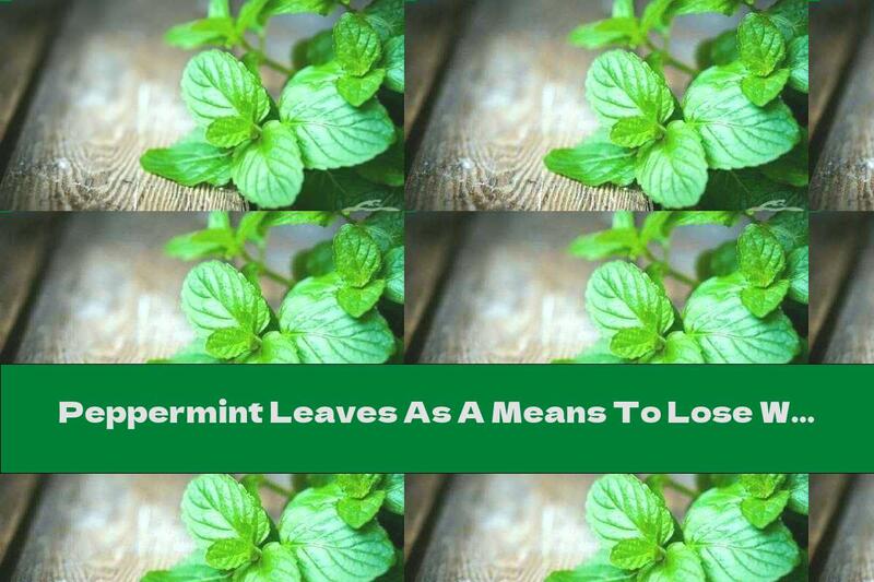 Peppermint Leaves As A Means To Lose Weight