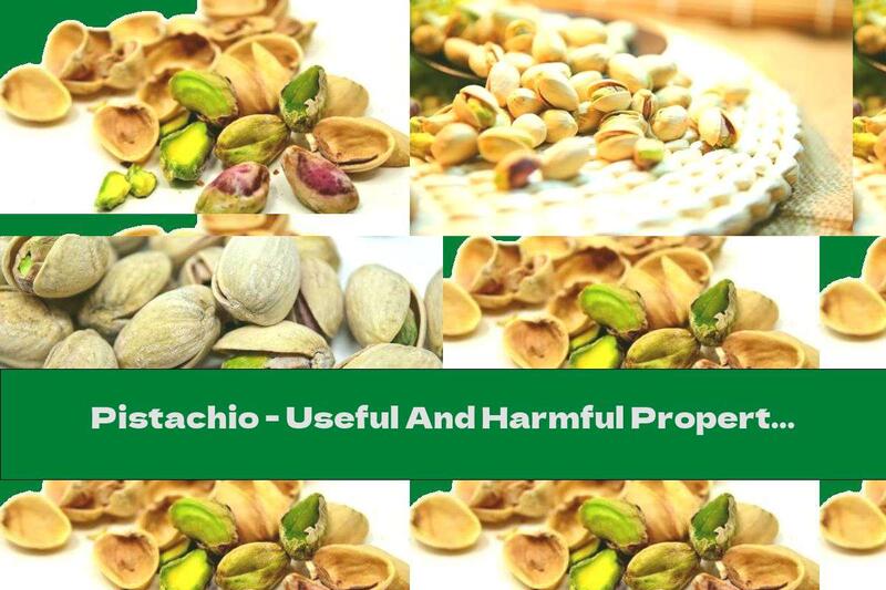 Pistachio - Useful And Harmful Properties