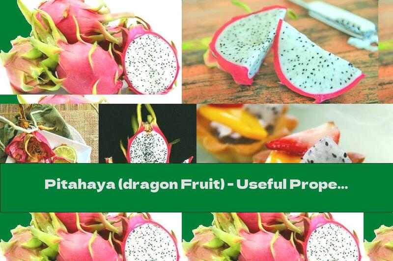 Pitahaya (dragon Fruit) - Useful Properties