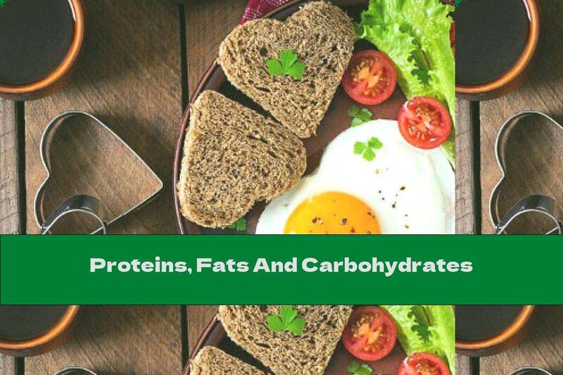Proteins, Fats And Carbohydrates