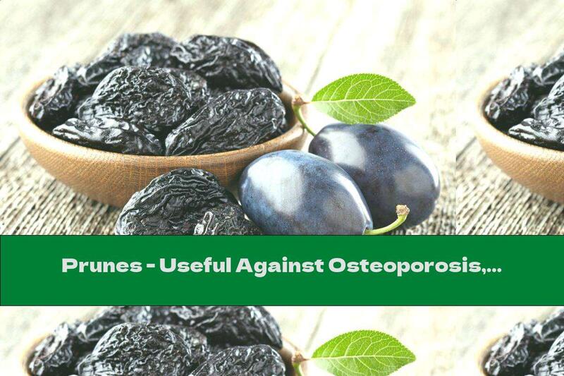 Prunes - Useful Against Osteoporosis, Constipation And More