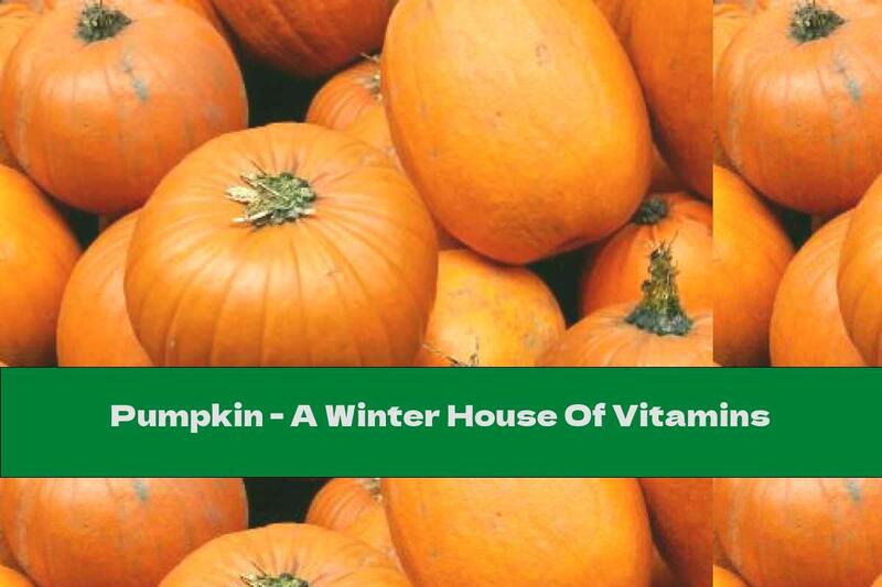 Pumpkin - A Winter House Of Vitamins