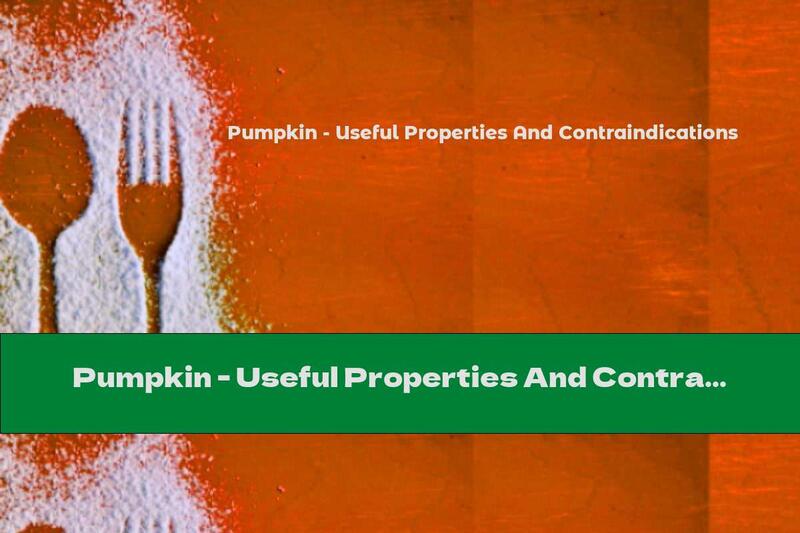 Pumpkin - Useful Properties And Contraindications