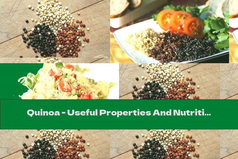 Quinoa - Useful Properties And Nutritional Composition