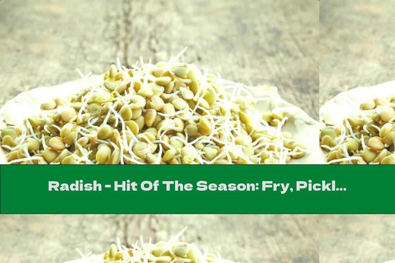 Radish - Hit Of The Season: Fry, Pickle, Bake