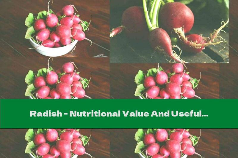 Radish - Nutritional Value And Useful Properties