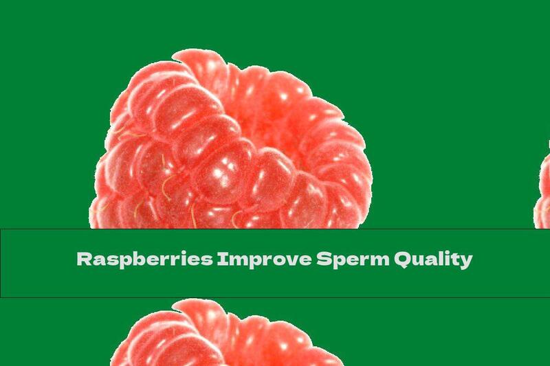 Raspberries Improve Sperm Quality