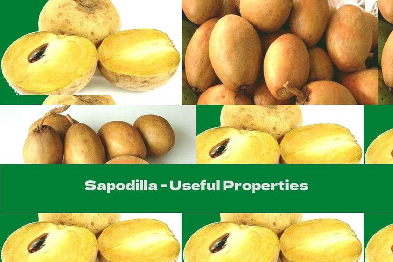 Sapodilla - Useful Properties