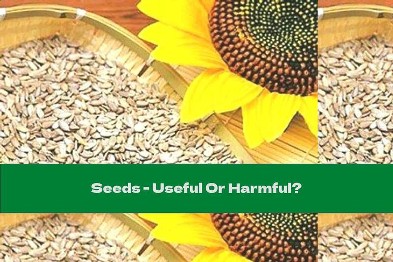 Seeds - Useful Or Harmful?