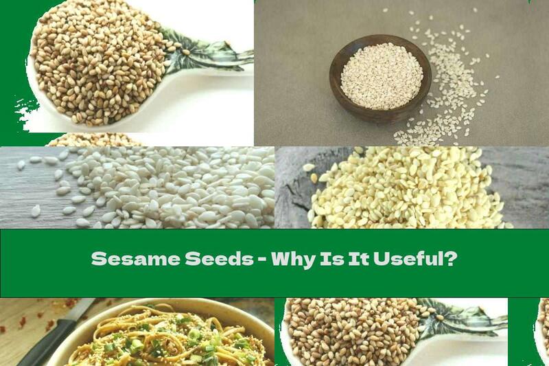 Sesame Seeds - Why Is It Useful?