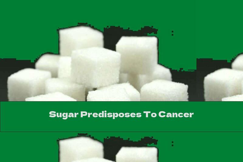 Sugar Predisposes To Cancer