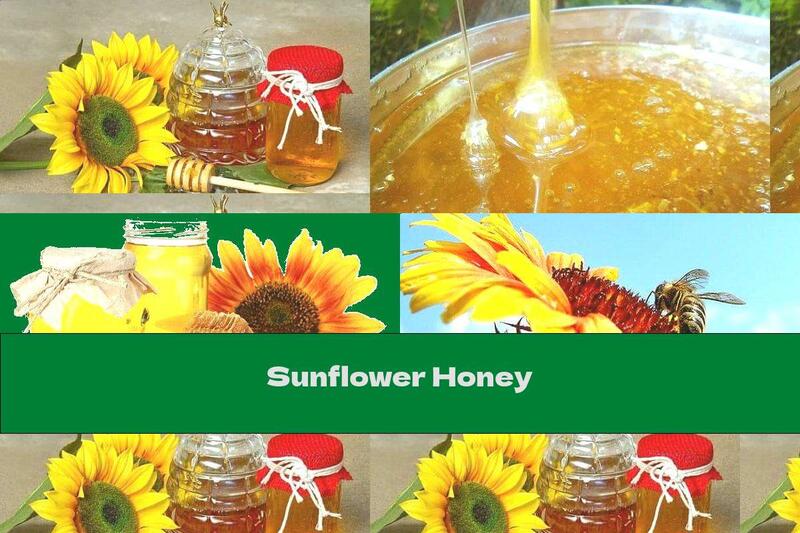 Sunflower Honey