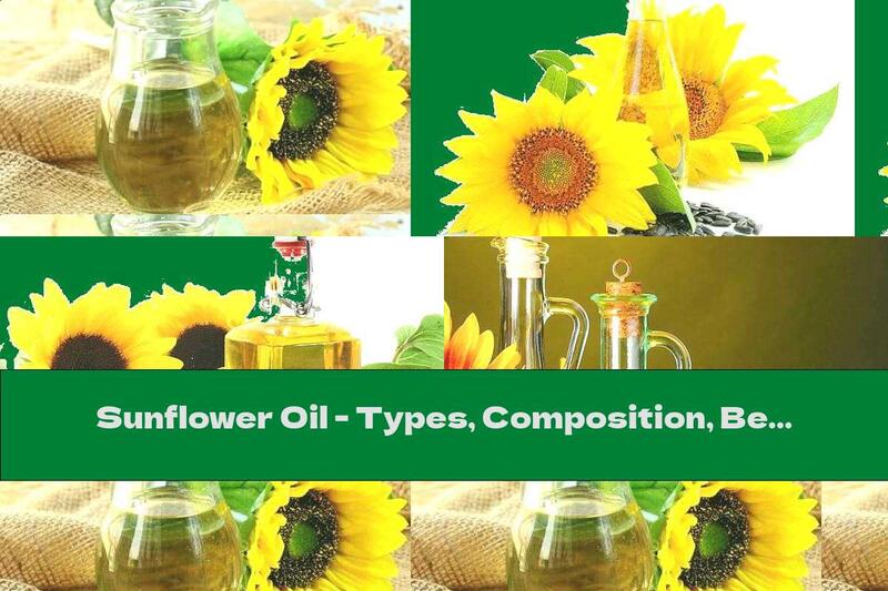 Sunflower Oil - Types, Composition, Benefits And Storage