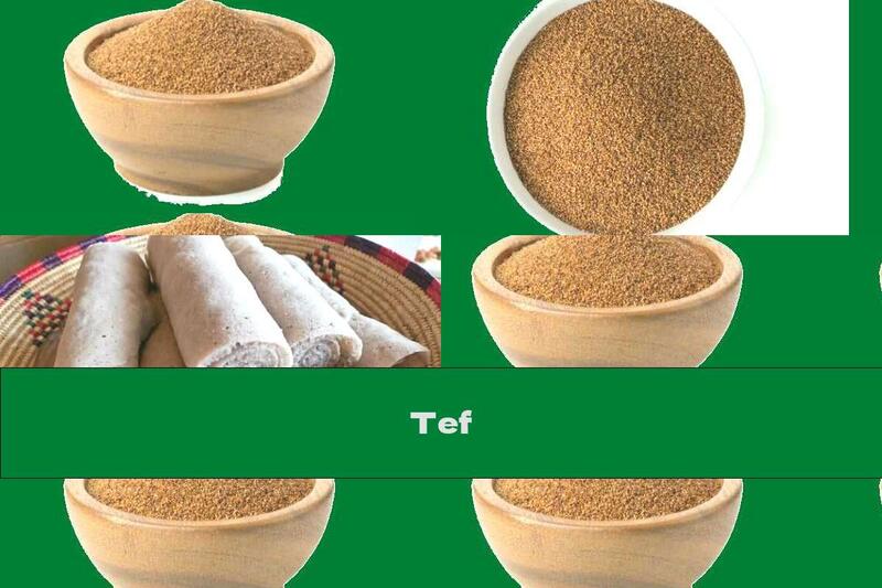 Tef