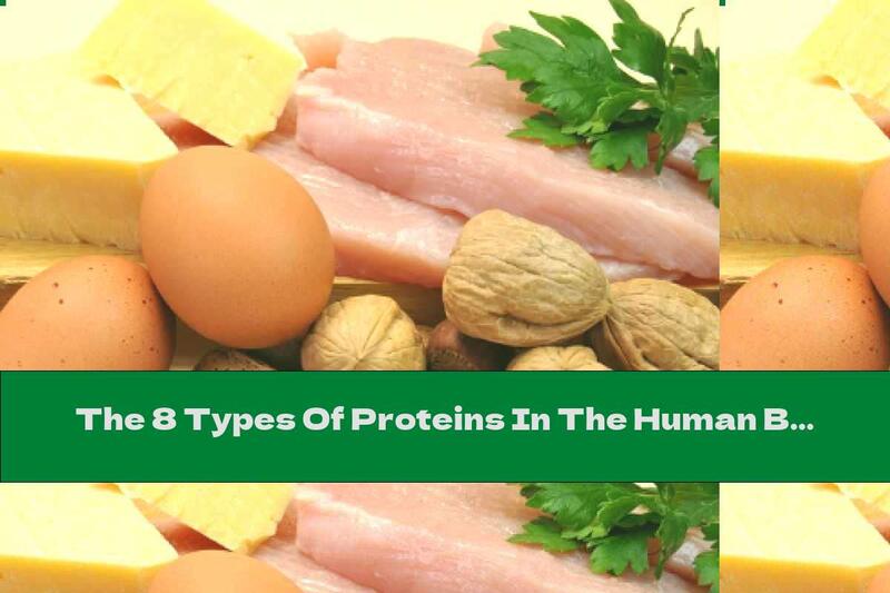 The 8 Types Of Proteins In The Human Body