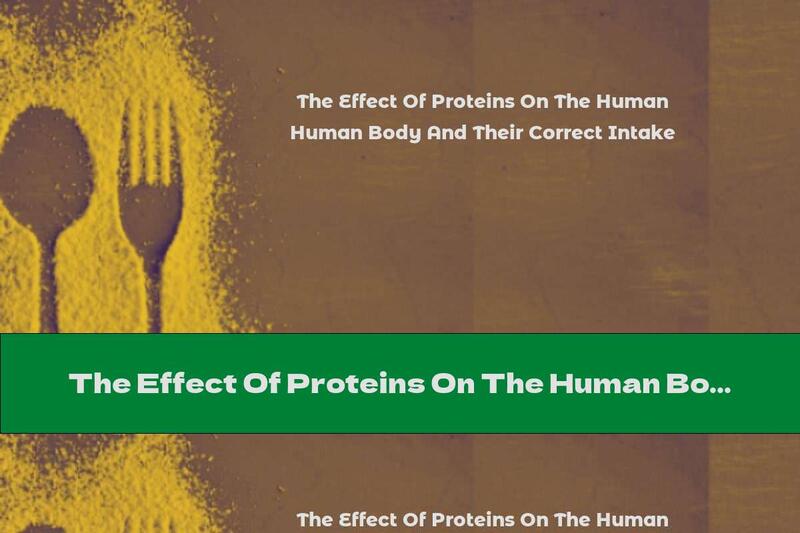 The Effect Of Proteins On The Human Body And Their Correct Intake