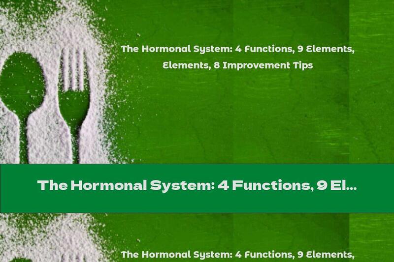 The Hormonal System: 4 Functions, 9 Elements, 8 Improvement Tips