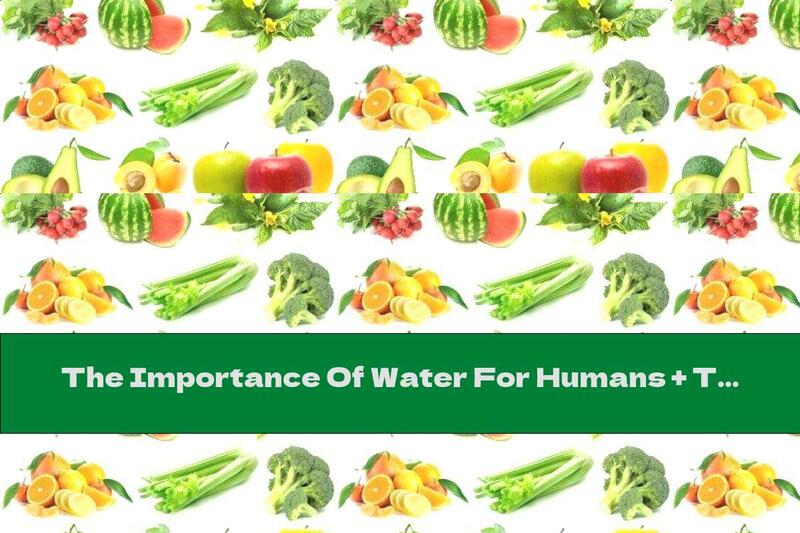 The Importance Of Water For Humans + Top 17 Of Foods That Quench Thirst