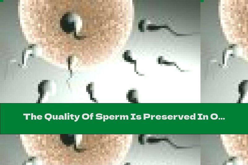 The Quality Of Sperm Is Preserved In Obesity