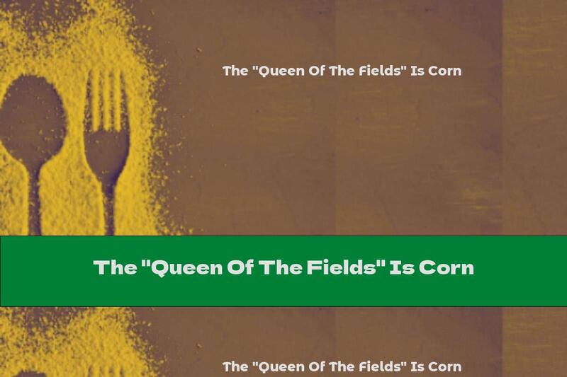 The "Queen Of The Fields" Is Corn