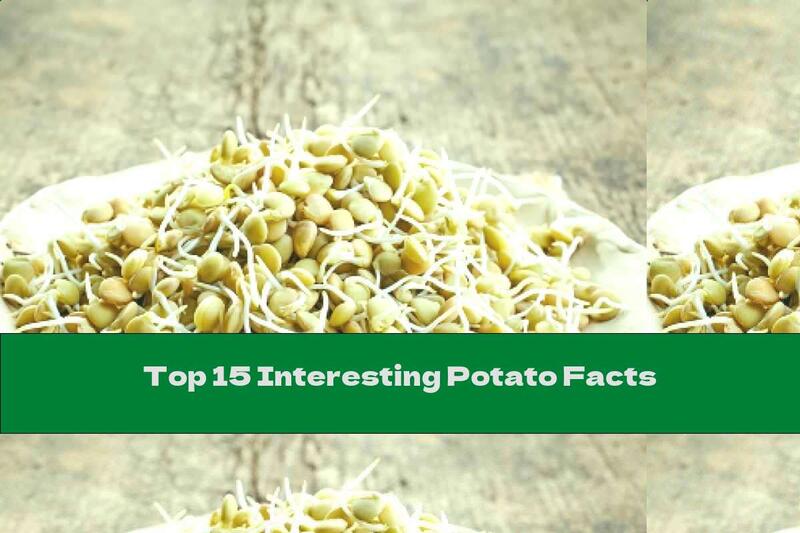 Top 15 Interesting Potato Facts