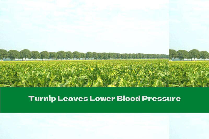 Turnip Leaves Lower Blood Pressure