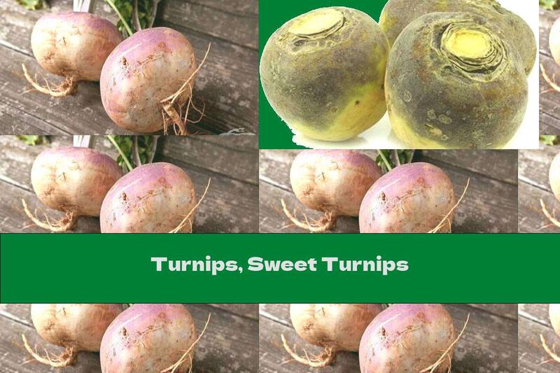 Turnips, Sweet Turnips