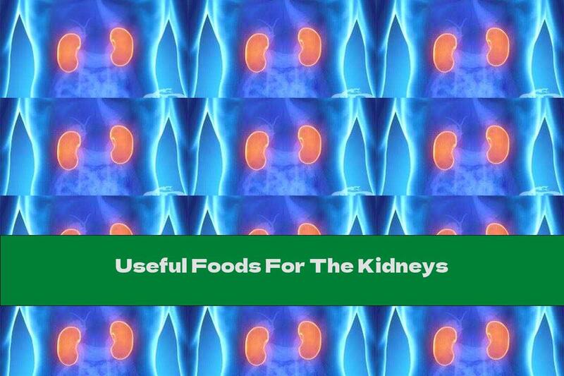 Useful Foods For The Kidneys