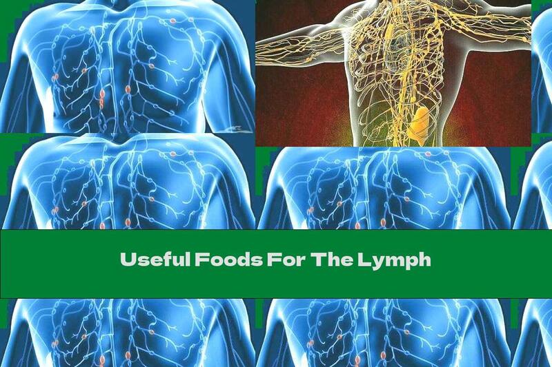 Useful Foods For The Lymph