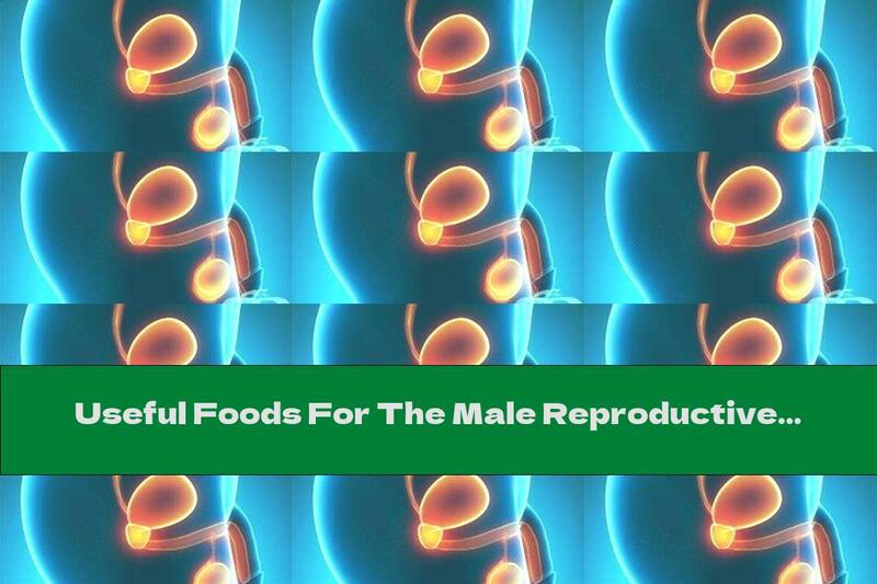 Useful Foods For The Male Reproductive System