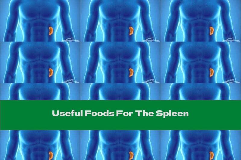 Useful Foods For The Spleen