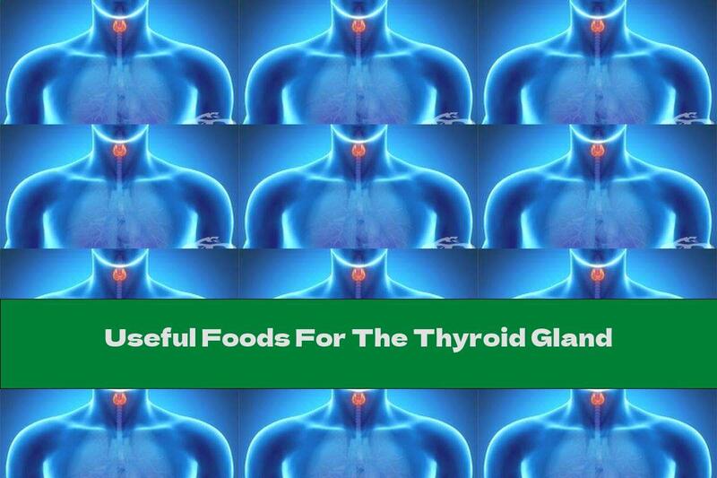 Useful Foods For The Thyroid Gland