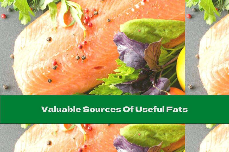 Valuable Sources Of Useful Fats