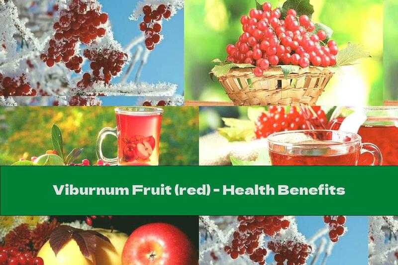 Viburnum Fruit (red) - Health Benefits