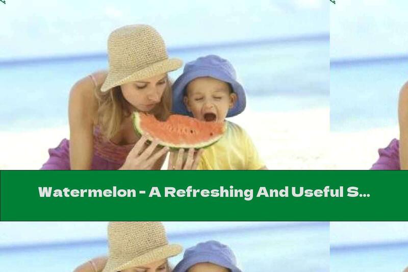 Watermelon - A Refreshing And Useful Summer Fruit