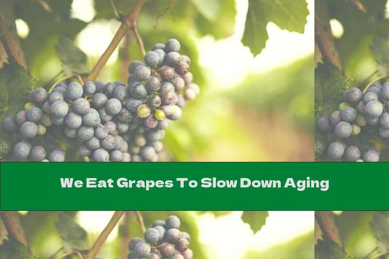 We Eat Grapes To Slow Down Aging