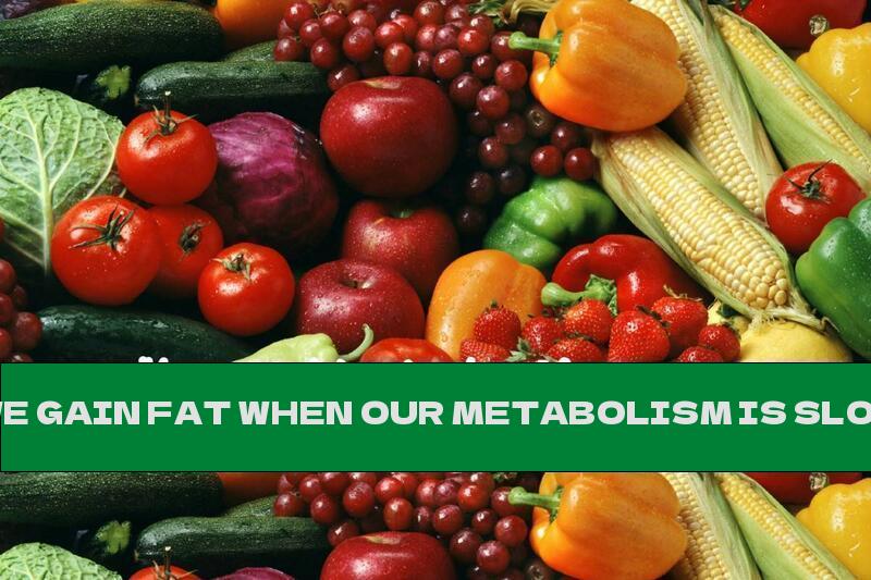 WE GAIN FAT WHEN OUR METABOLISM IS SLOWED DOWN (30+ FOODS THAT REGULATE THE METABOLISM)