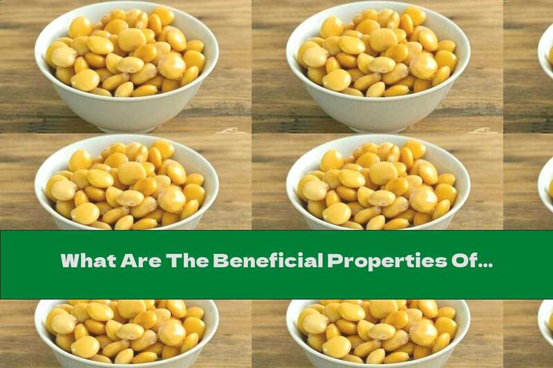 What Are The Beneficial Properties Of Lupine Seeds