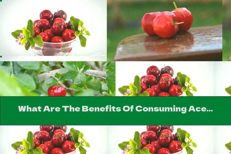 What Are The Benefits Of Consuming Acerola
