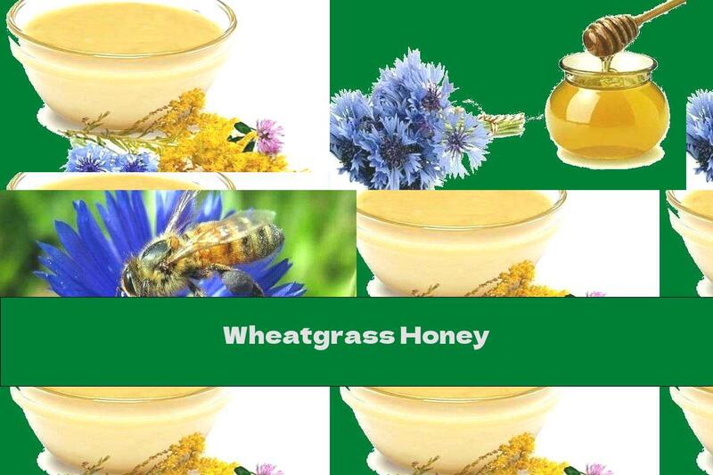 Wheatgrass Honey