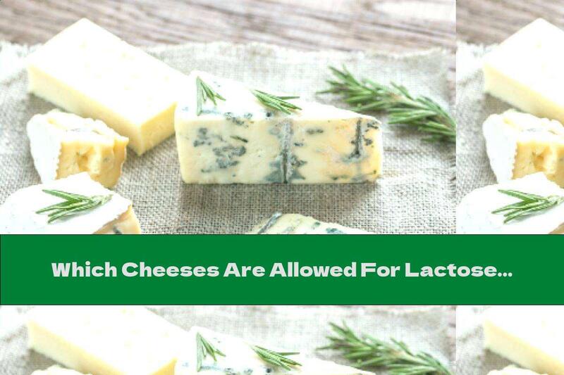 Which Cheeses Are Allowed For Lactose Intolerance?