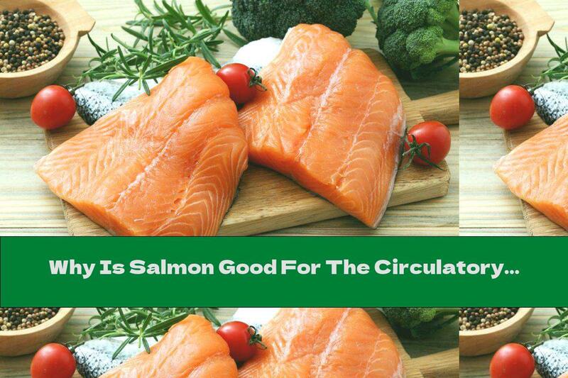 Why Is Salmon Good For The Circulatory System?