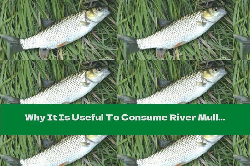 Why It Is Useful To Consume River Mullet