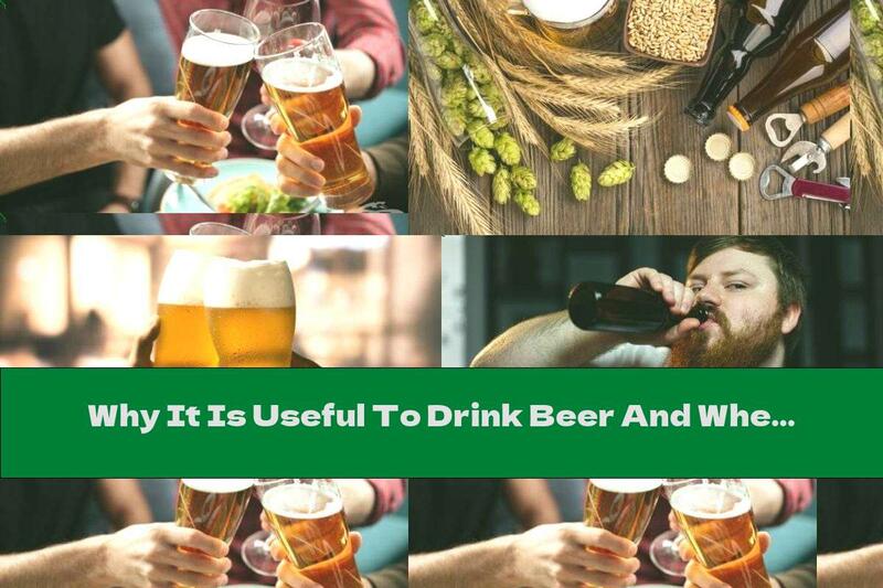 Why It Is Useful To Drink Beer And When It Becomes Harmful