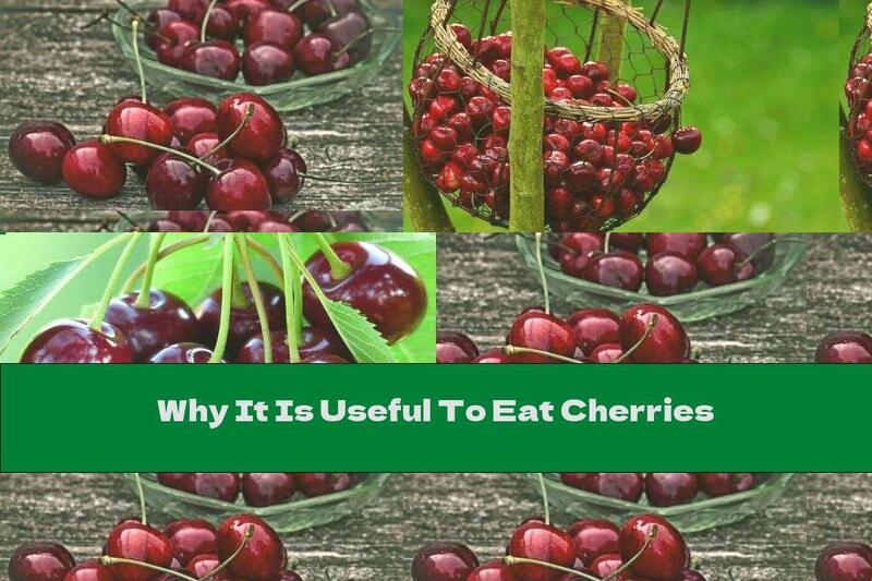 Why It Is Useful To Eat Cherries