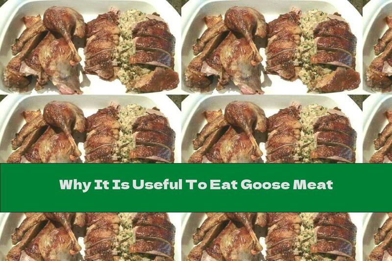 Why It Is Useful To Eat Goose Meat