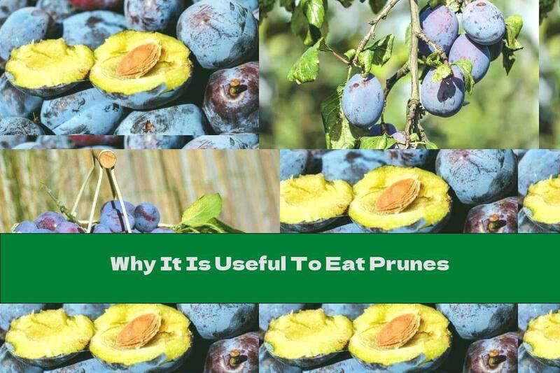 Why It Is Useful To Eat Prunes