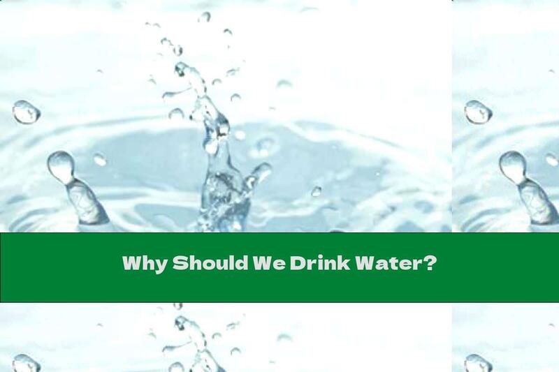 Why Should We Drink Water?
